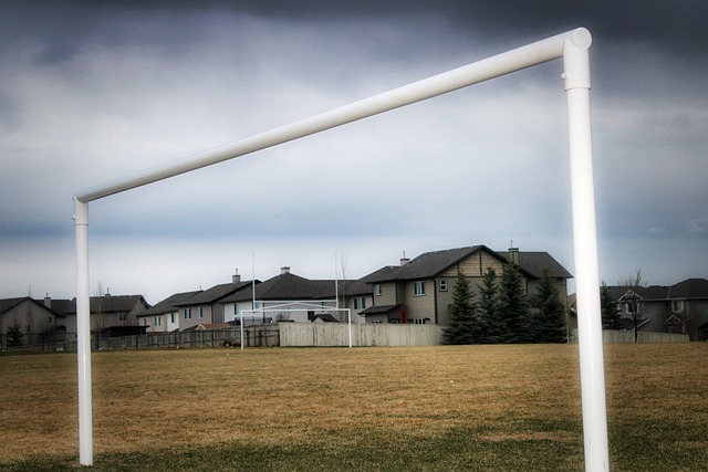 过建立更为 过建立更为