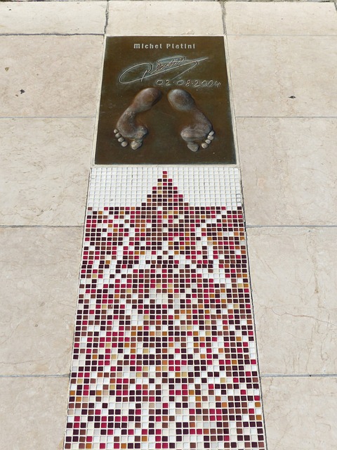 作为全球最 作为全球最