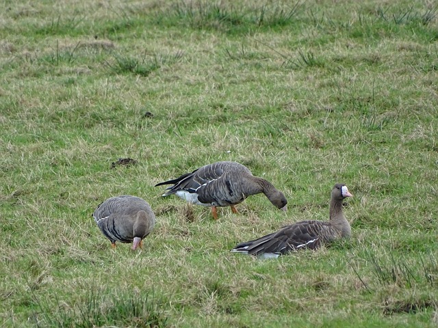 职业机遇和 职业机遇和
