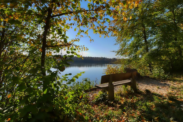 环境中脱颖 环境中脱颖