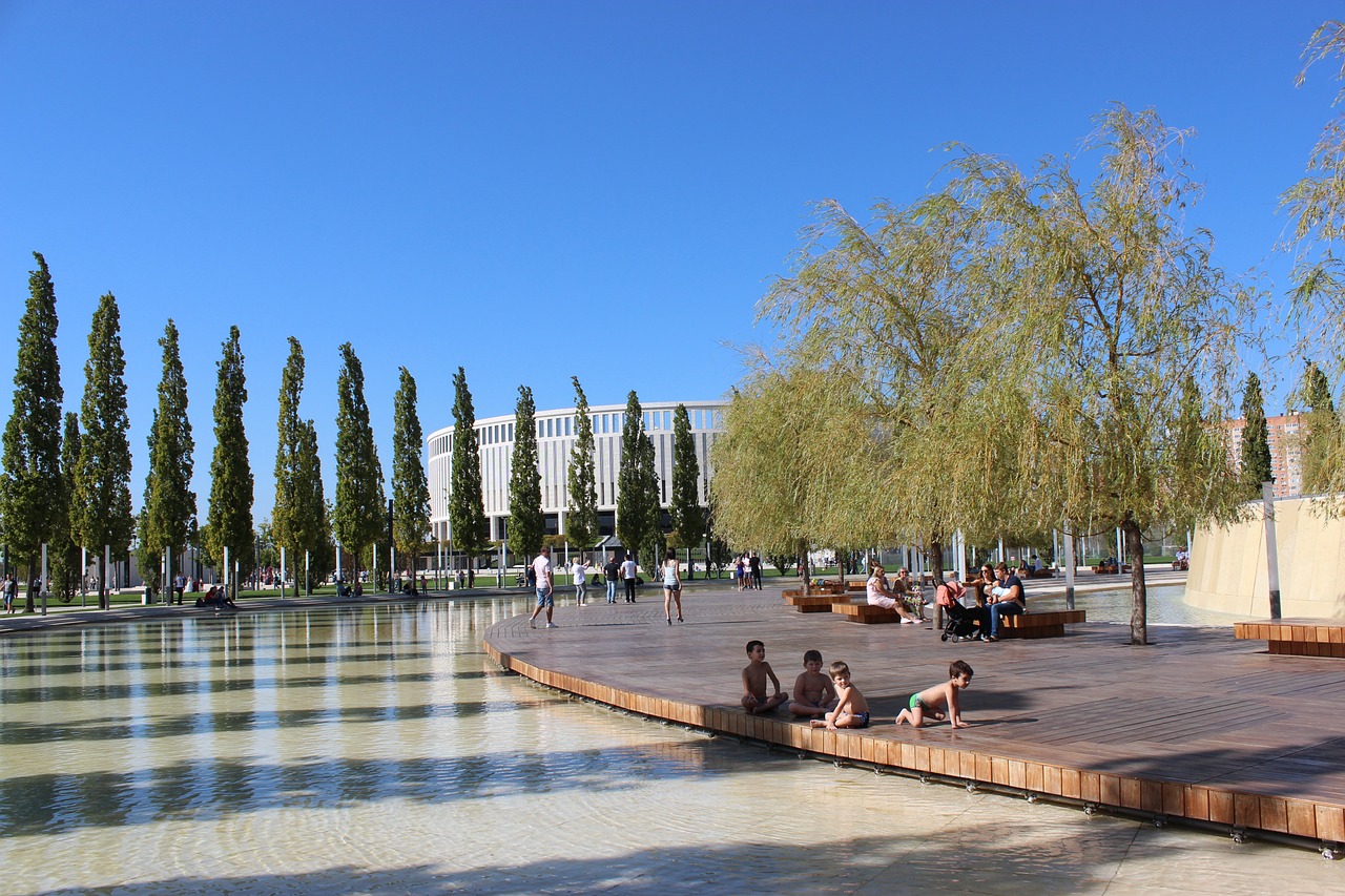 的佼佼者 的佼佼者