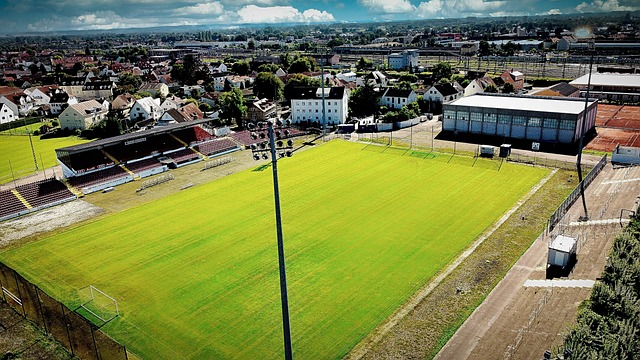 英雄体育V 英雄体育V