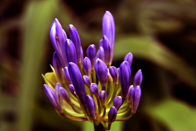 天赋的馈赠 天赋的馈赠