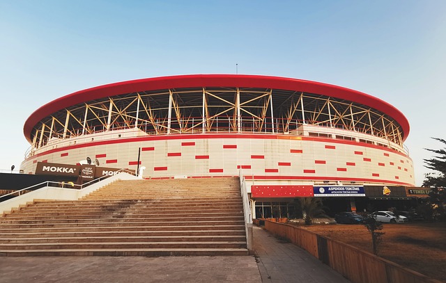 动体现了过 动体现了过