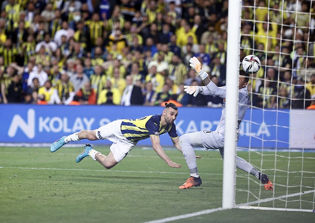 意的调整导 意的调整导