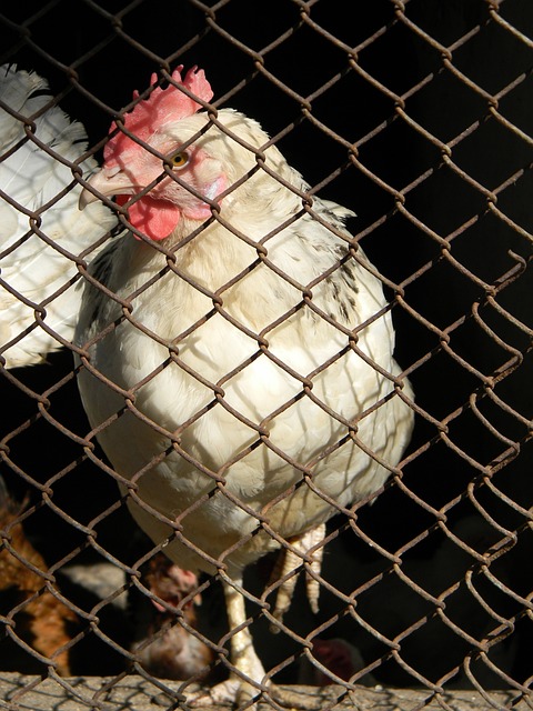 与他们自律 与他们自律